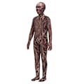Miniatyrbillede 2 af 5: Stranger Things 4 Vecna Cosplay Tøj Halloween Jumpsuit 140Y