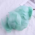 Miniatyrbild 5 av 11: 100 st flerfärgad fjäder för genomskinlig bobo-ballongfylld födelsedag bröllopsdekoration DIY-blomsterarrangemang Dark Green