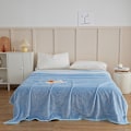 Miniatyrbild 5 av 7: Pure-Color Wheat Ear Pattern Plyschfilt Vikbar Håll Varm Mysig filt För Bäddsoffa Gray and Blue 50*70cm