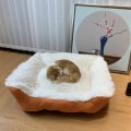 Miniatyrbilde 3 av 5: Hundematte kan brukes for å holde varm hundeseng og katteseng i fire Orange