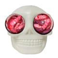 Miniatyrbillede 1 af 8: Nyhed Dødningehovedbolde Gotiske Dødningehovedlegetøj til børn Halloween White one size