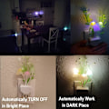 Miniatyrbild 3 av 6: 2-pack LED Sensor Nattljus Plug-in NightLight Färgbyte