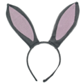 Pikkukuva 1 / 5: Rabbit Ears Panta, Rabbit Ears Panta 1. Plysch Panta Ash