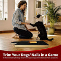 Miniatyrbillede 8 af 11: Dog Scratch Pad til negle, Dobbeltsidet Scratch Board til Hund Su BLACKB drawer claw