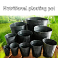 Miniatyrbillede 7 af 11: 10x Plast Plante Blomsterhave Potter Planteskole lings Potte Growi blackE 15*13 10pcs