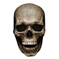 Miniatyrbillede 1 af 7: Halloween Voksen Latex Maske 3D Helhoved Skelet Maske Kranie dark color