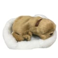 Miniatyrbild 1 av 5: Söt simulering sovande katt/hund plyschdocka med bo andning F B