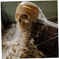 Miniatyrbillede 2 af 4: Edderkoppespind Skræmmende halloweenrekvisit Strækbare edderkopper Hvidt edderkoppespind Realistisk strækbart halloweendekoration Housware[232]