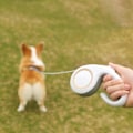 Miniatyrbillede 5 af 10: Pet Walking line Indtrækkelig hundesnor HVID 3M