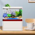 Miniatyrbillede 3 af 11: 1,5 liter fisk til tank med skjult filter og LED-belysning Dyrk vandplanter og fisk i et miljø Lysjustering Blue