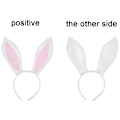 Pikkukuva 3 / 5: Rabbit Ears Panta, Rabbit Ears Panta 1. Plysch Panta White