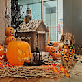 Pikkukuva 5 / 5: Hauska Halloween puuvillainen koiran kolmiohuivi - Halloween C