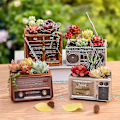 Miniatyrbild 2 av 2: Krukor Planteringskärl Harts Retro Nyhet Kruka Desktop Balkong Växt Blomkruka för suckulentväxt(c, stil)