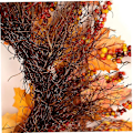 Miniatyrbild 5 av 5: Halloween höst höst krans lönn bär Thanksgiving ytterdörr inomhus utomhus krans dekoration