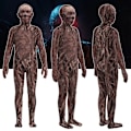 Miniatyrbillede 1 af 5: Stranger Things 4 Vecna Cosplay Tøj Halloween Jumpsuit 140Y 120Y