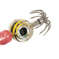 Miniatyrbild 7 av 11: LED Räkfiske Lure Bläckfisk Jig Konstgjorda räkor Lockar Fiske Bläckfisk Krok Animerade fiskebeten Presenter för män, pojke Green