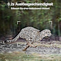 Miniatyrbild 4 av 5: Trail Camera, Jaktkamera med vidvinkelrörelse Senaste sensorn View Trigger Time Trail Game Camera Utan Glöd Och Vattentät För Wildlife Monitori