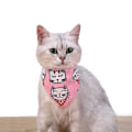 Miniatyrbild 2 av 5: Sommaren Husdjur Halsduk Tecknad Utskrift Katt Utomhus Burp-tyg Pet Bandana Blue M