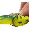 Miniatyrbild 4 av 6: Eterspr 2 stycken grodbeten, silikon groda fiskedrag, dubbla propeller grodor Soft Bait, för fiskeutrustning, fiskeentusiaster