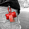 Miniatyrbild 5 av 5: 3 st Pet Poop Bag Set D null none