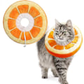 Miniatyrbild 1 av 4: Runmeihe Cat Cone Collar Recovery Collar, justerbar Cat Cone, mjuk Elizabethan Collarorange 1st) null none