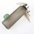 Miniatyrbild 2 av 4: Ny Leak Tight Fruktjuice Sport Bärbar Reseflaska Vattenkopp 600ml null none