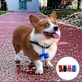 Miniatyrbild 4 av 5: 3 st Pet Poop Bag Set D null none