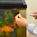 Miniatyrbild 4 av 4: Vattentät reparationstejp för pool, trädgård, reparation av rörläckage (klar) [gratis frakt] null none