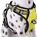 Miniatyrbild 3 av 5: No Pull Dog Sele Justerbar hundväst Sele för lätt promenader _sc Green 75-105CM