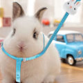 Miniatyrbild 2 av 5: Kanin och sällskapsdjur drarrep och koppel Kanin koppel Kanin Sele Rem Pet Justerbar krage koppel Sköldpadda Walking Leash Kontrollrep Blå null none