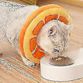 Miniatyrbild 4 av 4: Runmeihe Cat Cone Collar Recovery Collar, justerbar Cat Cone, mjuk Elizabethan Collarorange 1st) null none