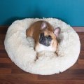 Miniatyrbillede 4 af 4: Hundeseng og katte-seng - SPRINGOS® - Beige - 90 cm - Blødt fyld - Vaskbar ved 30° Beige