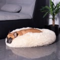 Miniatyrbillede 4 af 4: Seng til hund og kat - SPRINGOS® - Creme - 70 cm - Vaskbar ved 30° - Skridsikker Grädde