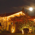 Miniatyrbillede 2 af 4: Lysende guirlande - SPRINGOS - 500 LED - 22,5 m - Varm hvid - Flash-funktion - IP44 Vit varm