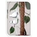 Miniatyrbild 2 av 3: Vattendispenser för växt - Glasfågelmodell 6x10x36 cm - Set om 2 Transparent