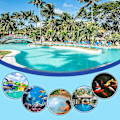 Miniatyrbild 3 av 5: Professionellt landningsnät för pool - landningsnät för pool - landningsnät - landningsnät för spa, pool, badtunnor och städlakan (ZYH)