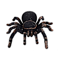 Miniatyrbild 2 av 5: För RC Spider Realistic Infrared rc Animal Tarantula med belysningsfjärrkontroll |RC Animals WS1030 (ZYH)