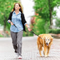 Miniatyrbilde 7 av 7: 5 FT Heavy Duty Hundekobbel med 2 komfortable polstrede håndtak, trafikkhåndtak og avansert enkel snappkrok, reflekterende gåledning for store, mellomstore og S Black5FT 5 Feet (Pack of 1)