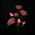 Miniatyrbillede 2 af 4: Solcelledrevne rosenblomsterlys til udendørs havedekorationer, vandtætte solcelleblomsterpælelys til terrassefest Valentinsdag (lyserød)