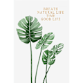 Miniatyrbild 6 av 8: Wekity Botaniska Väggkonst Tryck Set om 3 Tropiska Löv Canvas Dekor Växtblad Boho Väggdekor Bilder Gröna Boho Posters Konst Set Badrumsvägg