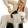Miniatyrbilde 6 av 6: Hunde- og kattebørste Slicker Grooming Bamboo Combo dobbeltsidig elegant bust og rund stift utfloker og myker opp pelsen for shedding kort mellomlangt langt hår Re
