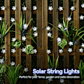 Miniatyrbilde 3 av 7: Utendørs solcelledrevne blomsterlyskjeder, vanntett 50 LED-lysdekorasjoner for juletre, hage, terrasse, gjerd, vår (kjølig hvitt) Cool White