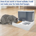 Miniatyrbillede 7 af 7: Gravity Automatisk Kattefoder Sæt, 2 i 1 Tyngdekraft Kæledyrsfoder og Vandskål Sæt Alt-i-Én Auto Hvalp Forsyning Fodring Vandforsyning Til Små Mellemstore Grey Non-stainless steel bowl