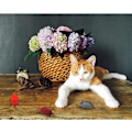 Miniatyrbild 7 av 8: 3 st kattmusleksak, flockande pipande musleksak för katt, 3 färger mjuka små kattleksaker för inomhuskatter, interaktiv kattleksak för katter och kattungar att fånga