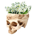 Miniatyrbillede 3 af 5: Kraniet Blomsterpotte Planter Resin Kunsthåndværk Personlige Hjemmeindretning Bar Ornamenter
