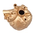 Miniatyrbilde 1 av 5: Kreative anatomiske hjertevaser i harpiks, skulptur i hjerteform, kunstneriske blomstervaser, skrivebordsdekorasjon for stue Gold