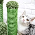 Miniatyrbild 2 av 5: Kattklösträdskaktus Kattklösträd med 3 klöspelare och interaktiv dinglande boll
