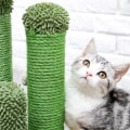 Miniatyrbillede 2 af 5: Kaktus-kradsetræ til katte med 3 kradsepæle og interaktiv hængende bold