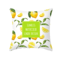 Miniatyrbilde 1 av 6: JUSTUP Sitronhøst Putetrekk Gult Sitrontrykk Plysj Myk Moderne Gårdshus  for Soverom Sofa Stue 18 x 18 Tommer（Sitron 18）