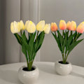 Miniatyrbilde 4 av 4: Gave til kjæreste, mamma, datter, tante, blomsterlampe, batteridrevet, tulipaner, nattlys, gave til henne, bursdag, ferie (hvit)